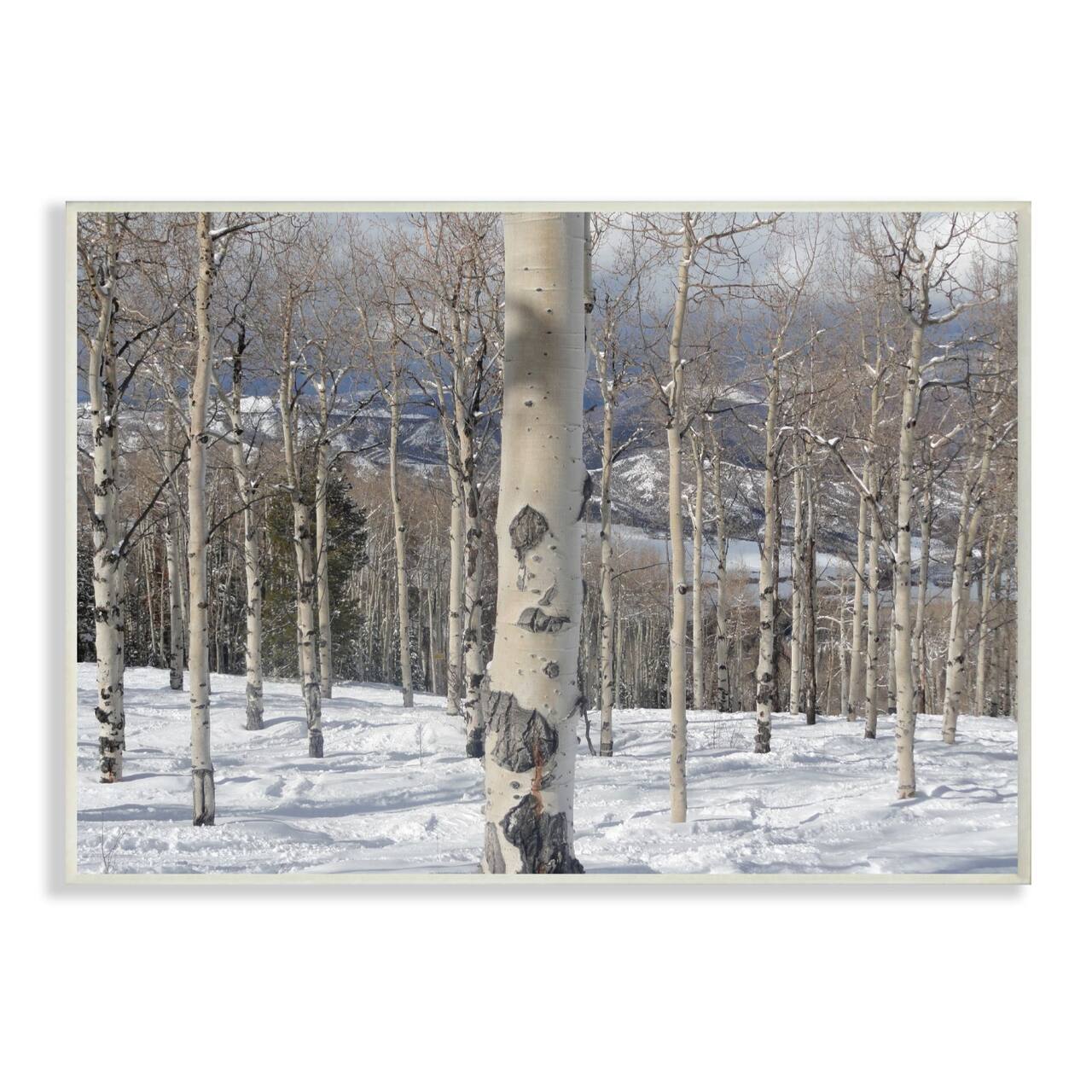 Stupell Industries Winter Birches Wall Plaque